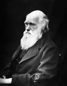 Charles Darwin, der Begründern der Evolutionstheorie. Für viele Bibelfundamentalisten nur ein gottloser ein Lakai des Teufels! (Bild: gemeinfrei)