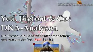 Yeti, Bigfoot und Co.: DNA-Analysen veröffentlicht und warum der Yeti KEIN Bär ist ((Bild: L. A. Fischinger / WikiCommons))