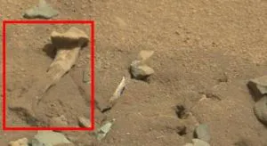 ARTIKEL: Mars-Rover “Curiosity” fotografierte einen “Knochen” auf dem Mars: Die NASA dementierte aus gutem Grund (Bild: NASA/JPL-Caltech/MSSS)