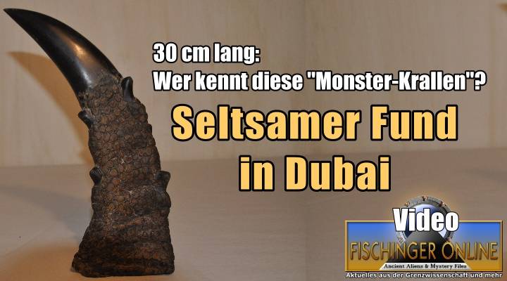 Die riesigen "Monster-Krallen" von Dubai: Fake, Irrtum oder ein echtes Rätsel? (Bild: L. A. Fischinger)