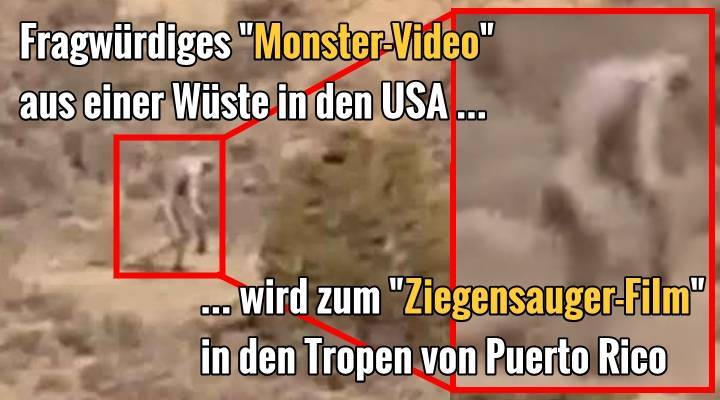 Ein fragwürdiges Video aus der Wüste der USA ... wandelte sich zu einem Film eines Ziegensauger auf der Insel Puerto Rico in der Karbik