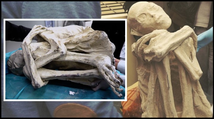 Die Alien-Leichen von Peru - der nächste Streich aus Südamerika (Bilder: Gaia.com / Screenshots YouTube)