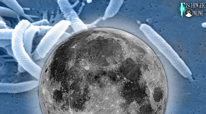 Killer-Bakterien vom Mond - Die Ängste der NASA bei der Mondlandung (Bilder: gemeinfrei / Montage: Fischinger-Online)