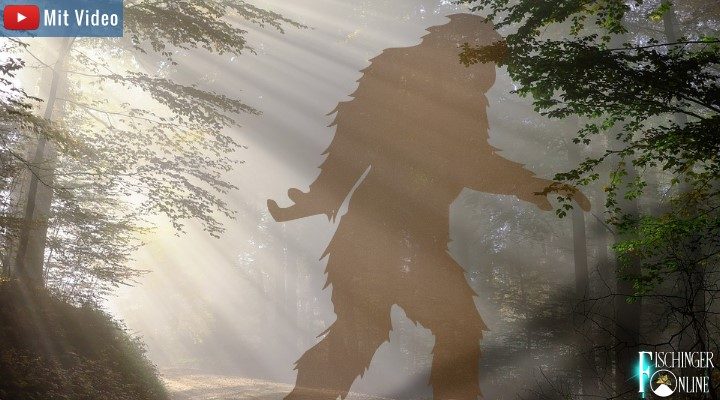 Wurden Menschen vom Bigfoot entführt? Seltsame Geschichten rund um den Sasquatch Nordamerikas