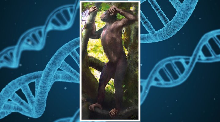 "Sternstunde der Paläoanthropologie und ein Paradigmenwechsel": Forscher entdecken ein "Missing Link" zwischen Mensch und Affe in Bayern (Bilder: Nature & PixaBay/gemeinfrei)