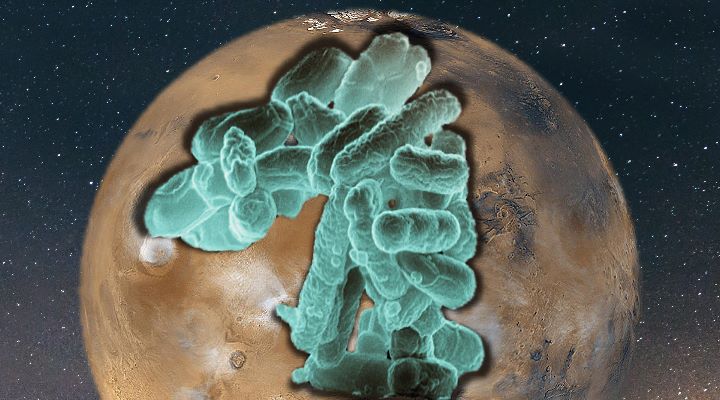 Der Mars könnte voller Leben sein! Für dessen (unverfälschte) Entdeckung ist es vielleicht bald zu spät - warnt eine SETI-Forscherin (Bilder: NASA & gemeinfrei / Montage: Fischinger-Online)