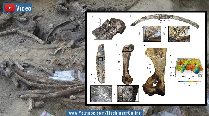 VIDEO vom 26. Oktober 2021: Sensationelle archäologische Funde auf den Philippinen sind 600.000 Jahre ZU alt (Bilder: T. Ingicco/Nature / Montage: Fischinger-Online)