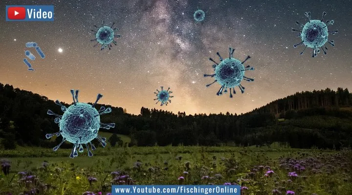 Video vom November 2021: Forscher warnen vor einer Invasion aus dem All und ins All: Von Viren und anderen Mikroorganismen, die unser aller Ende sein könnten! (Bilder: Pixabay/gemeinfrei / Montage: Fischinger-Online)