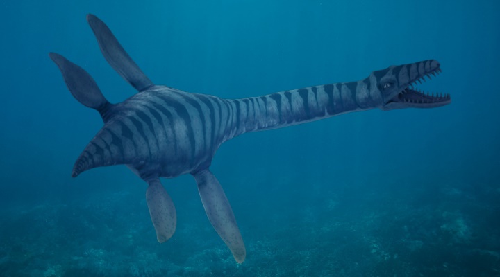 Ein Cousin von Nessie? Nahuelito, das Monster im Nahuel HuapiSee in