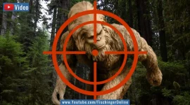 Video: Vom Aussterben bedroht? County in den USA erklärt sich zum Schutzgebiet für den Sasquatch/Bigfoot! (Bilder: gemeinfrei / Montage: Fischinger)