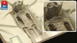 "Außerirdische Mumien" UFO-Forscher präsentieren Alien-Leichen von Peru im mexikanischen Kongress - Avi Loeb fordert staatliche Untersuchungen (Bilder: Canal del Congreso México/YouTube)