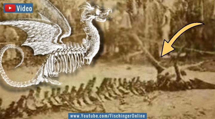 Video: Der Drache, der vom Himmel fiel: Die verrückte Story der abgestürzten Drachen von Yingkou in China 1934 (Bild und Illustration: gemeinfrei / Montage: Fischinger)