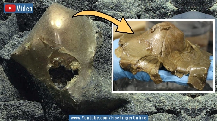 Video: "Unidentifizierte goldene Probe": Rätselraten um das "Goldene Ei" vom Meeresgrund vor Alaska (Bilder: NOAA)