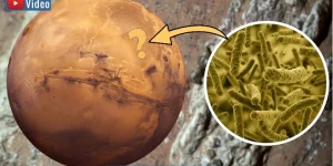 Spektakuläre Hinweise für Leben auf dem Mars gefunden! (Bilder: Gemeinfrei & NASA / Montage: Fischinger-Online)