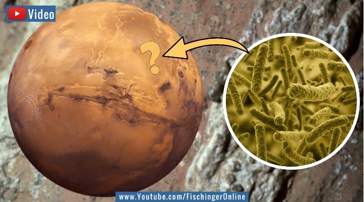 Spektakuläre Hinweise für Leben auf dem Mars gefunden! (Bilder: Gemeinfrei & NASA / Montage: Fischinger-Online)