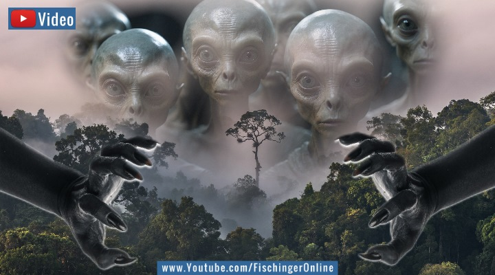 Verrücktes aus Peru: "Außerirdische Riesen" attackieren Amazonas-Bewohner" (Bilder: gemeinfrei / envato / Montage: Fischinger)