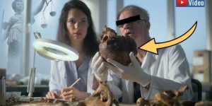 Archäologie-Betrug im großen Stil in Deutschland? Gericht traf erste Entscheidung (Bild: envato / Montage: Fischinger)