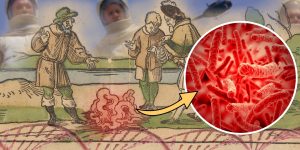 Sommer 1550 zwischen Halle und Merseburg: Blut aus dem Inneren der Erde verängstigt die Menschen - und ist doch kein Einzelfall (Bildmontage: Fischinger)