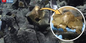 Der seltsame Fall der "goldenen Kugel" im Meer vor Alaska wurde nun gelöst (Bilder: NOAA / Montage: Fischinger)