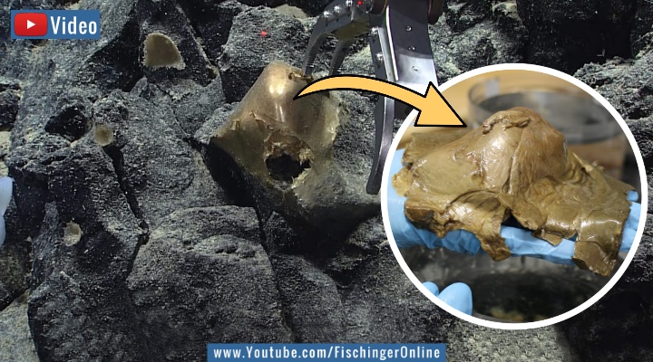 Der seltsame Fall der "goldenen Kugel" im Meer vor Alaska wurde nun gelöst (Bilder: NOAA / Montage: Fischinger)