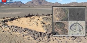 Uralte Funde im Sudan: "Unsere Entdeckung verändert die Geschichte der Sahara und der Vorgeschichte des Nils" (Bilder: J. Cooper / Montage: Fischinger)