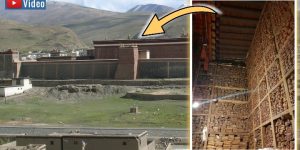 Sensation im Himalaya: 84.000 unbekannten Bücher und Handschriften in Tibet "entdeckt"! (Bilder: WikiCommons / Montage:_ Fischinger)