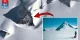 Immer wieder Aufruhr in der Presse und im Netz: Wurden gigantische Pyramiden im Eis der Antarktis gefunden? (Bilder: Google Earth pro & gulliver.it / Montage: Fischinger-Online)